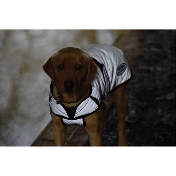 Weatherbeeta Comfitec Reflective Dog Coat - Silver